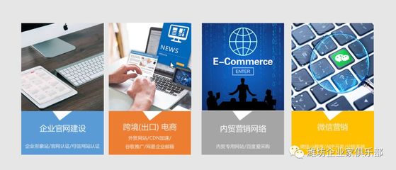 王翠萍 以網(wǎng)絡(luò)營銷策劃驅(qū)動(dòng)企業(yè)增長，濰坊企業(yè)家俱樂部的創(chuàng)新先鋒